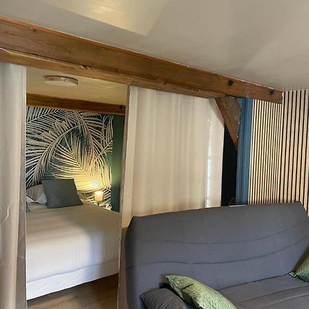 Ferienwohnung La Palme Bleue - 5 Mn Du Zooparc De Beauval Saint-Aignan  Exterior foto
