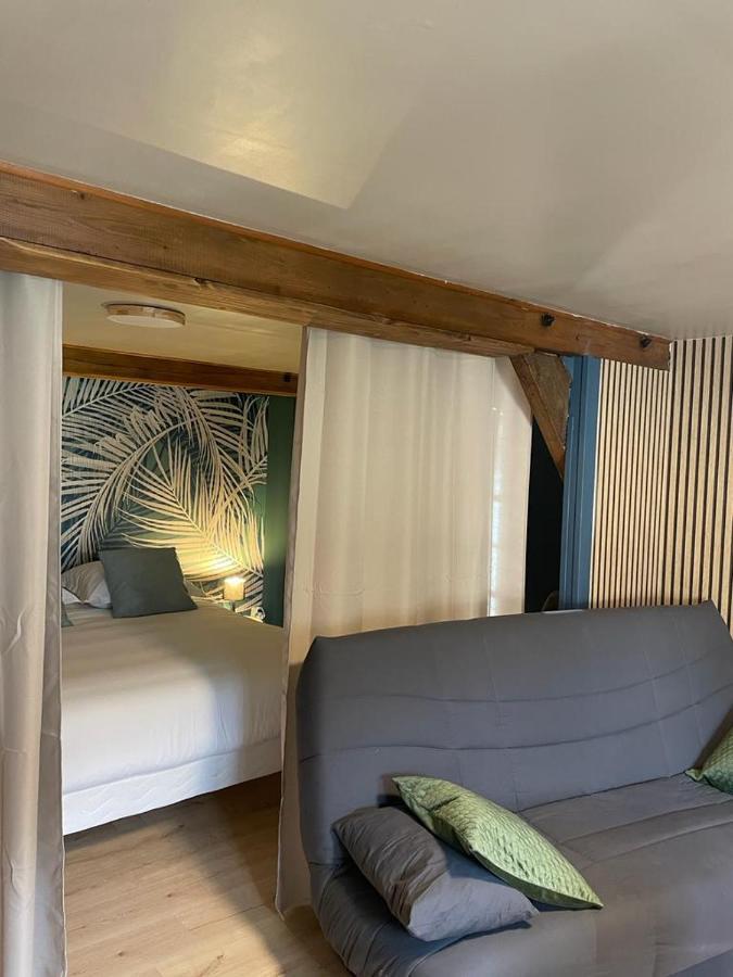 Ferienwohnung La Palme Bleue - 5 Mn Du Zooparc De Beauval Saint-Aignan  Exterior foto