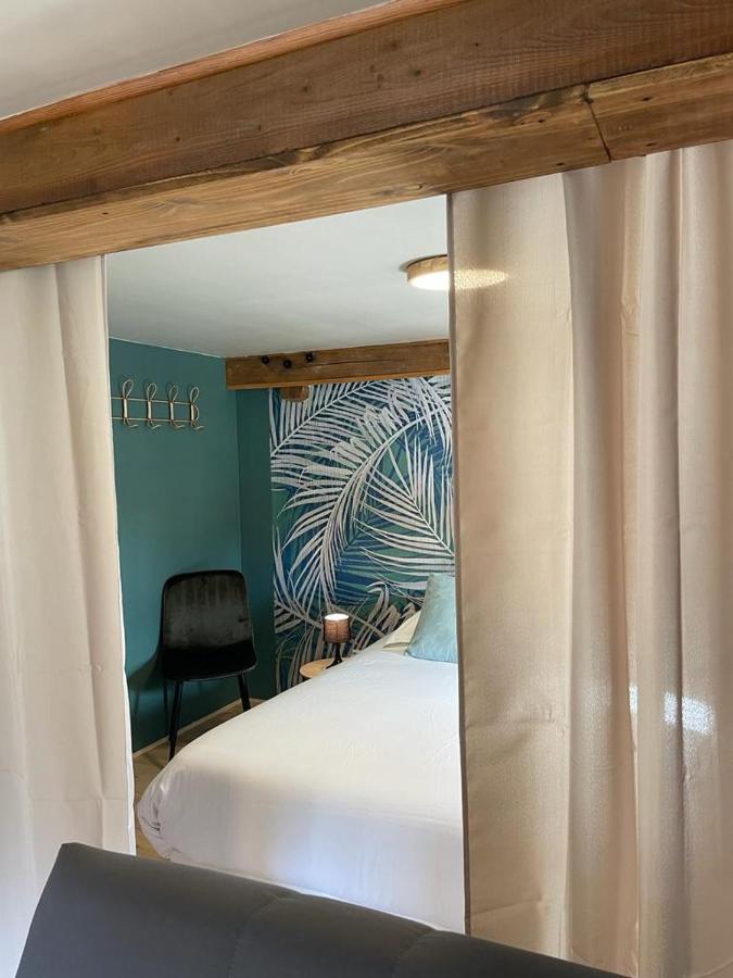 Ferienwohnung La Palme Bleue - 5 Mn Du Zooparc De Beauval Saint-Aignan  Exterior foto